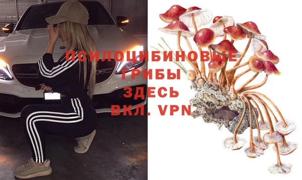 каннабис Алексеевка