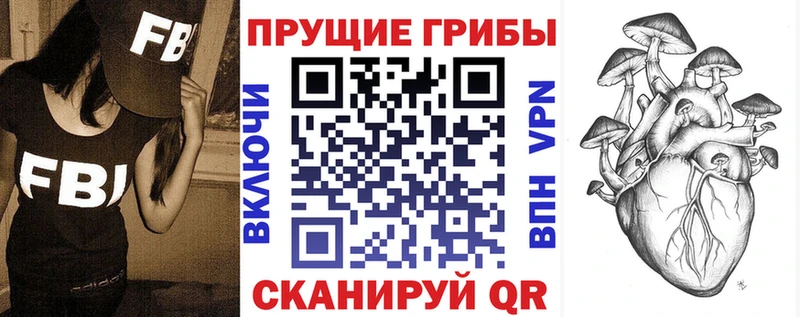 закладки  Гаврилов Посад  гидра ТОР  Галлюциногенные грибы Psilocybine cubensis 