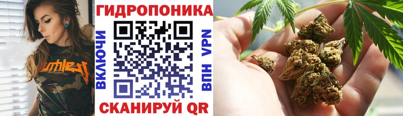 где найти Гаврилов Посад Шишки марихуана Amnesia